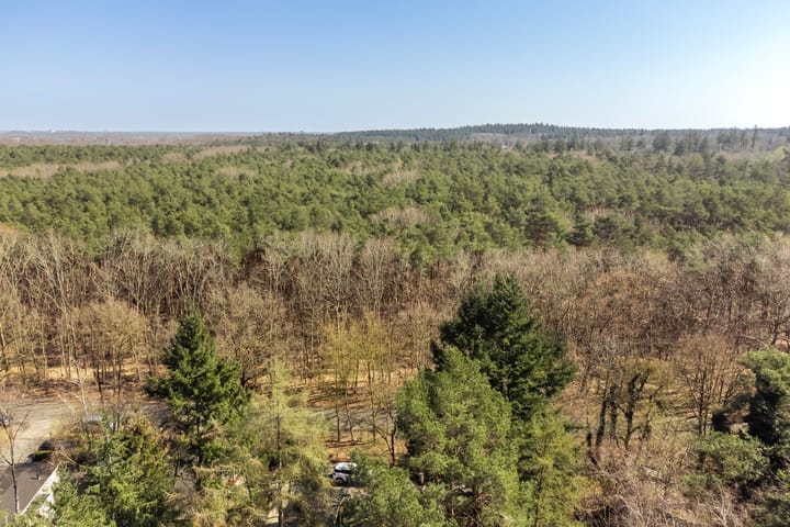 Foto 59 van Lindenoord 1