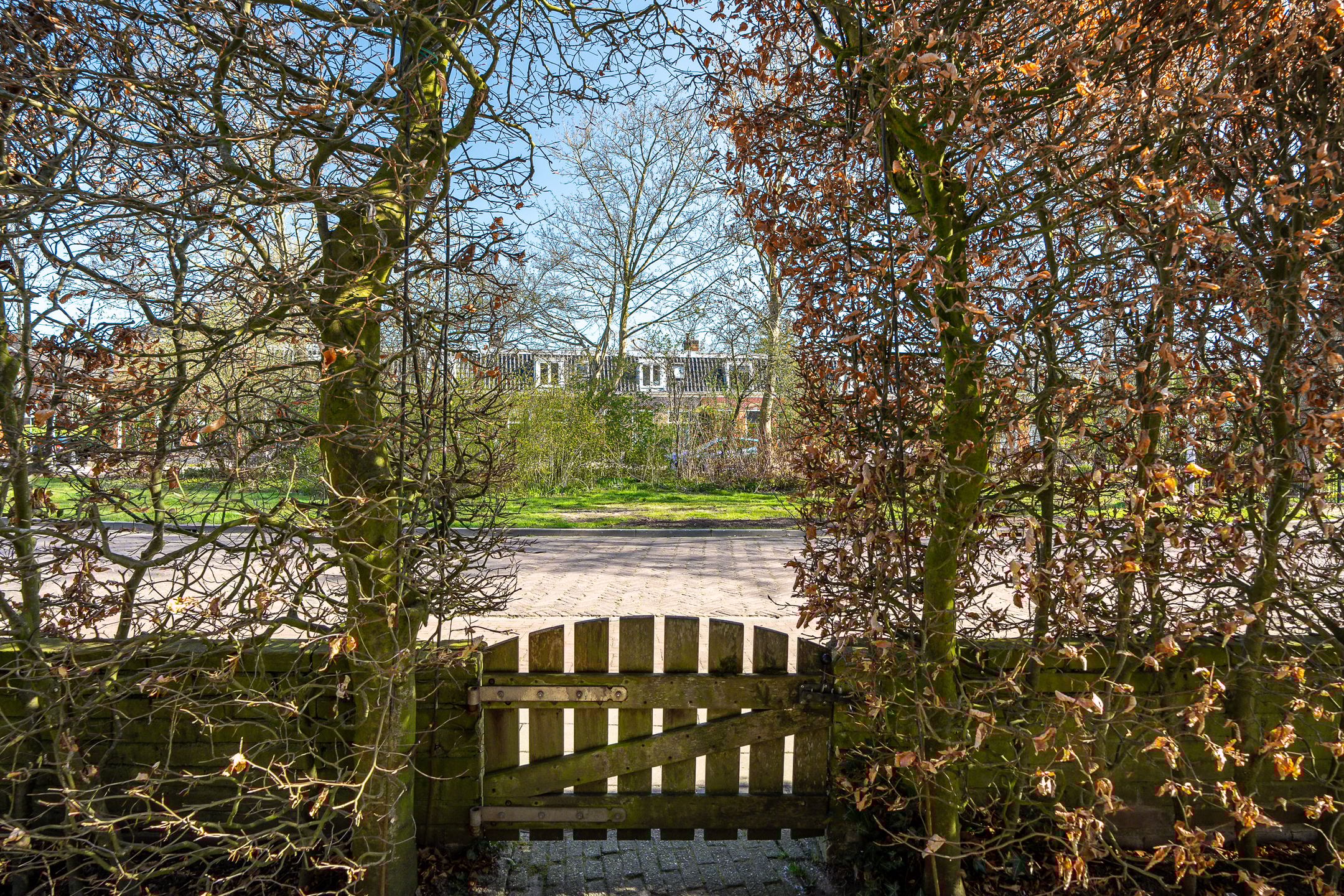 Foto 69 van Iepenlaan 19