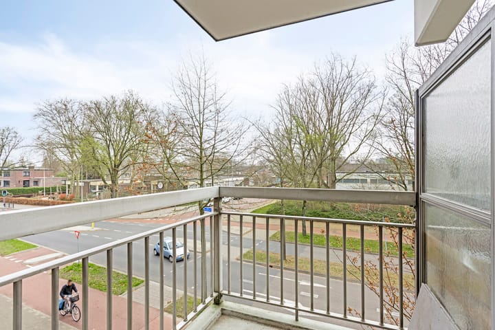 Foto 5 van Franklin D Rooseveltlaan 99