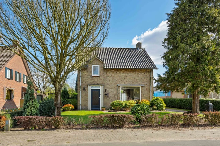 Bekijk foto van Oxrooi 8