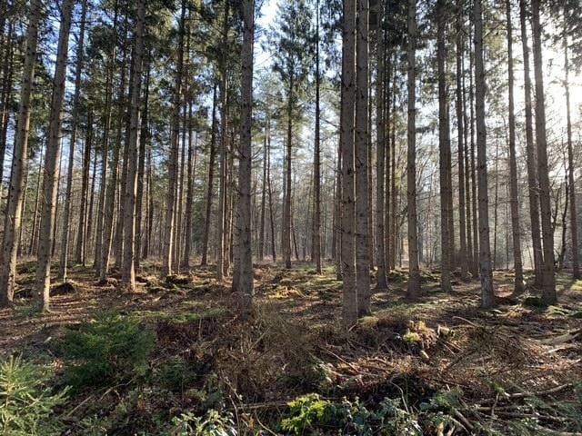 Foto 64 van Koefenne 6