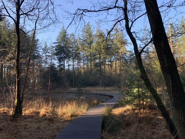 Foto 62 van Koefenne 6