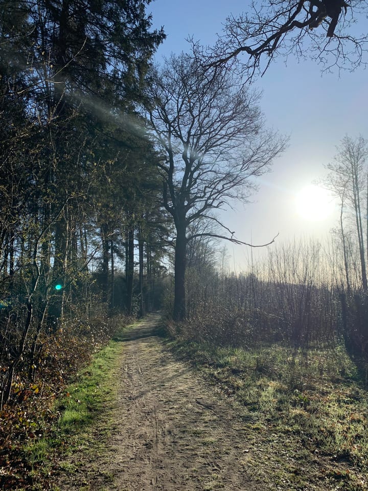 Foto 60 van Koefenne 6