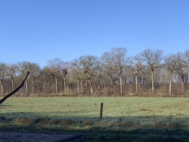 Foto 68 van Koefenne 6