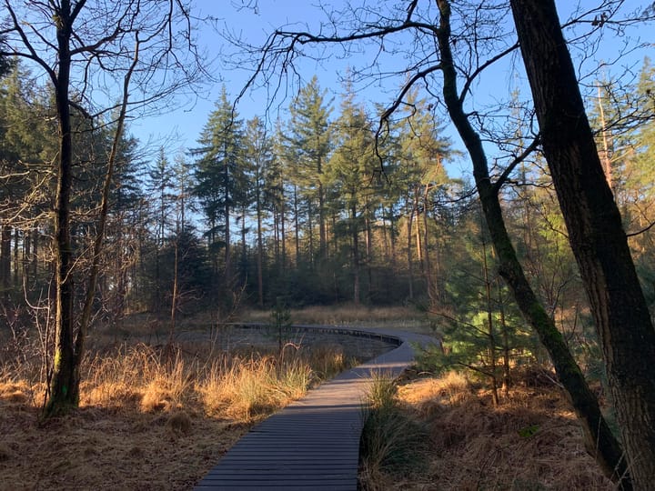 Foto 63 van Koefenne 6