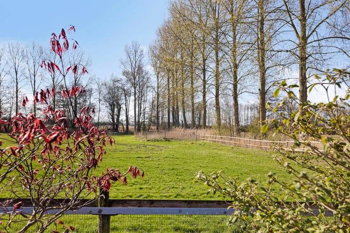 Foto 36 van Irenestraat 31