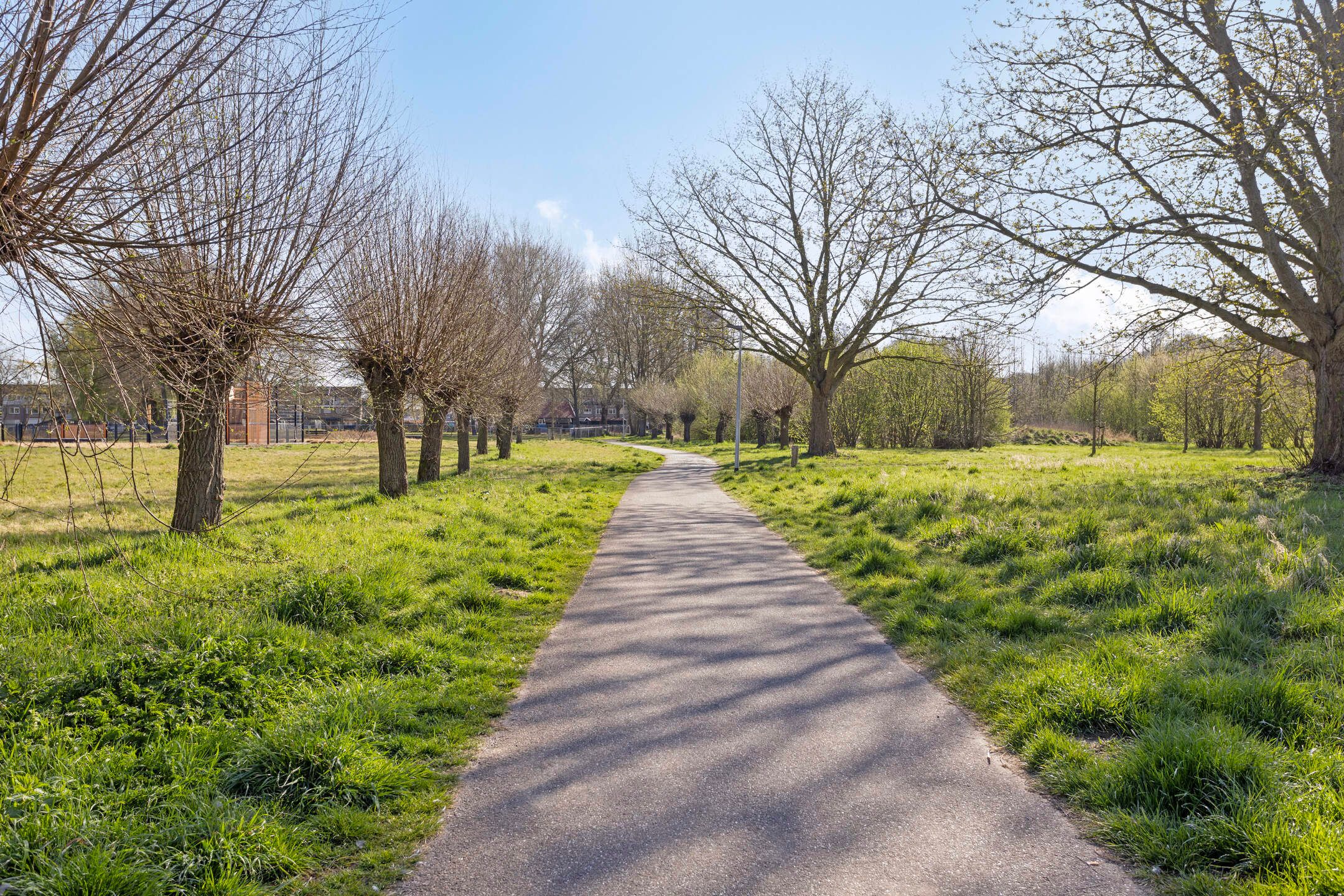 Foto 39 van Irenestraat 31