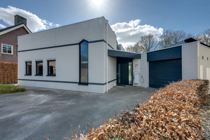 Foto 3 van Dovenetel 8