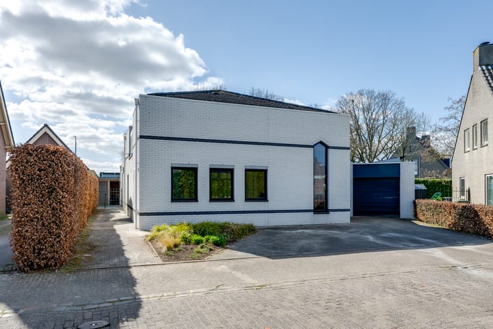 Foto 4 van Dovenetel 8