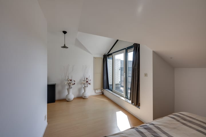 Foto 39 van Dovenetel 8