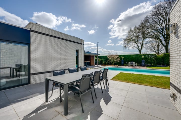 Foto 50 van Dovenetel 8