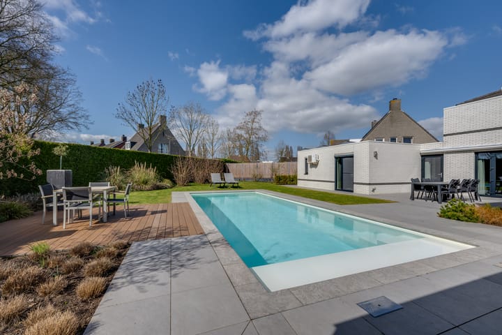 Foto 55 van Dovenetel 8