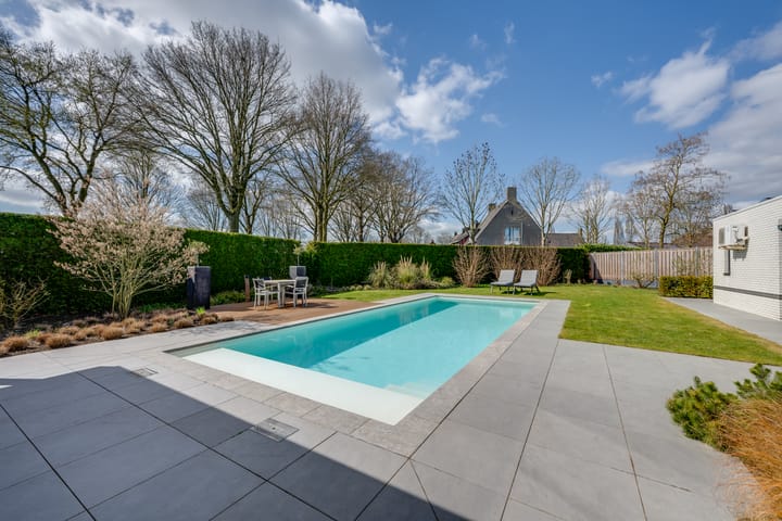 Foto 56 van Dovenetel 8