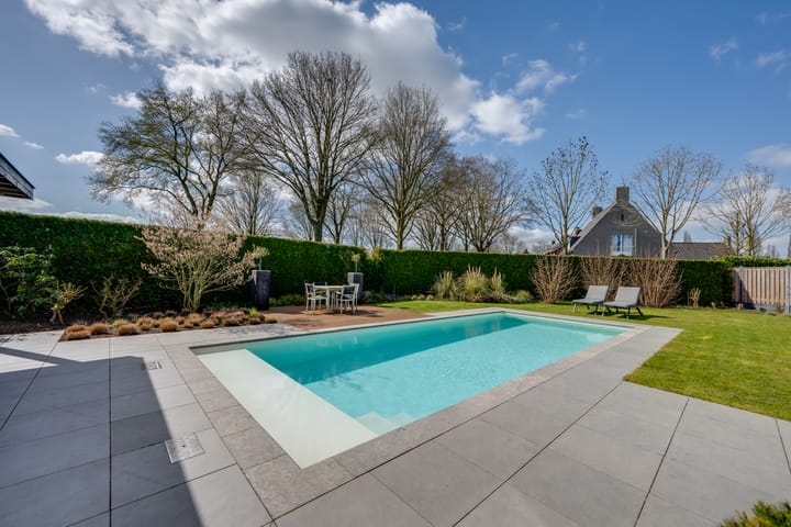 Foto 57 van Dovenetel 8