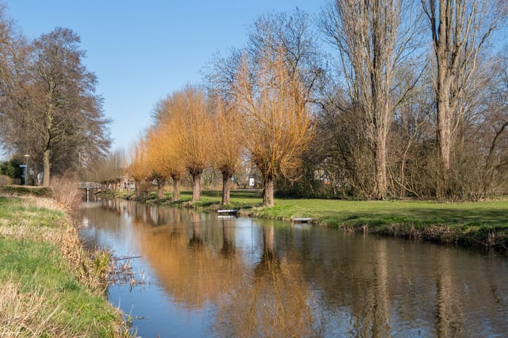 Foto 48 van Hondsdrafveld 20