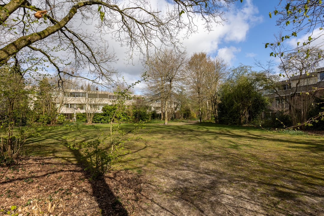 Photo 38 of Ardennen 64