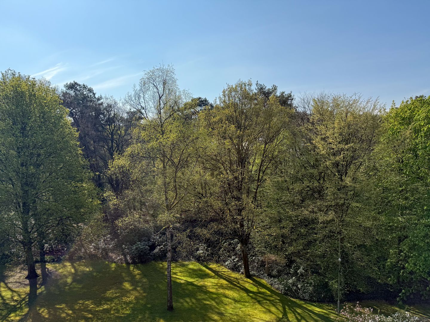 Foto 35 van Wilbertsheem 3