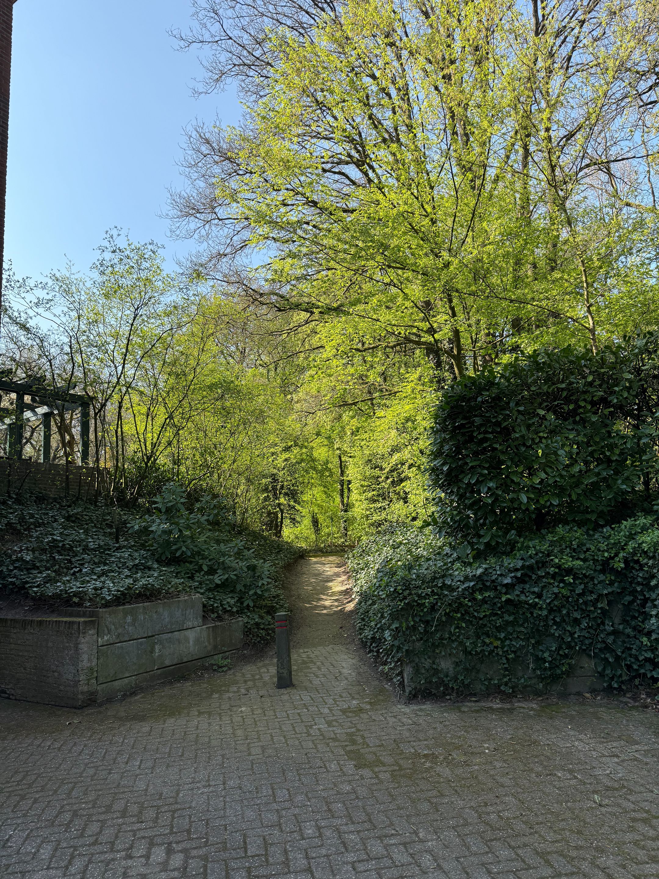 Foto 45 van Wilbertsheem 3