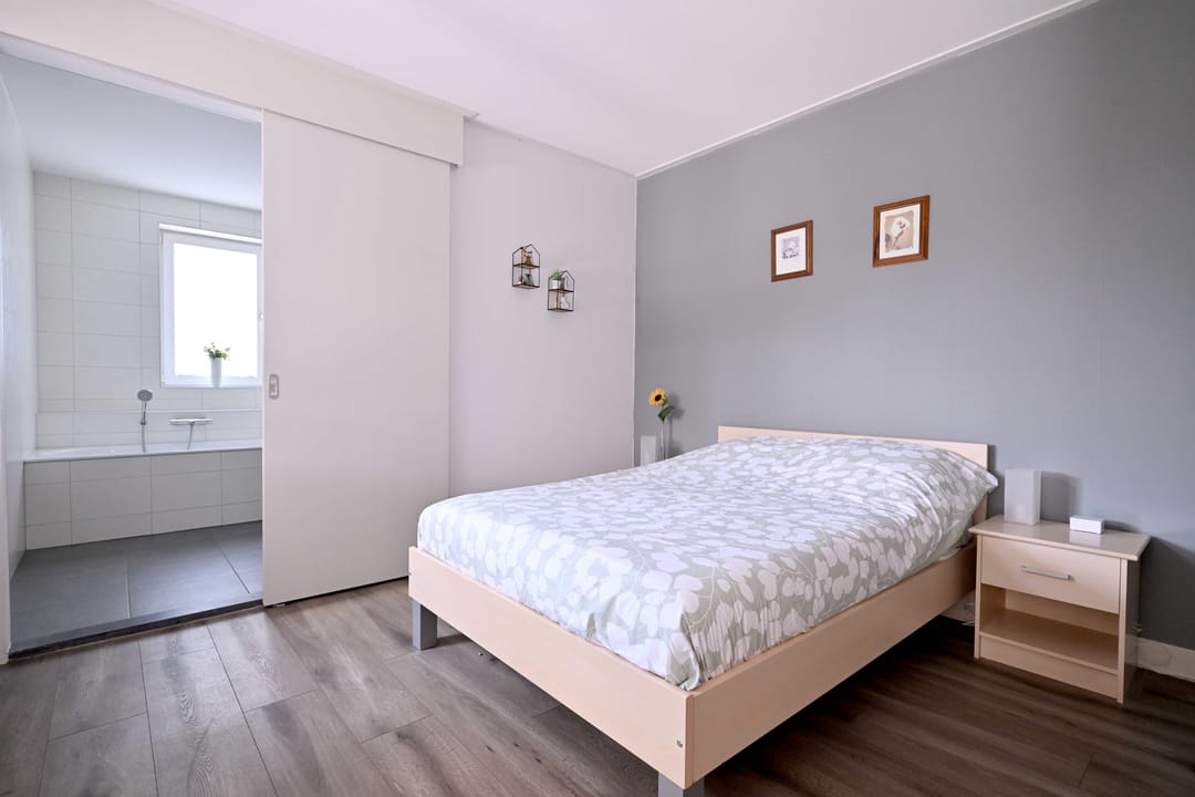 Photo 8 of Roodborst 60