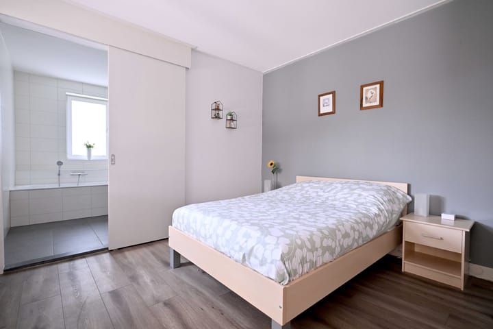 Foto 8 van Roodborst 60