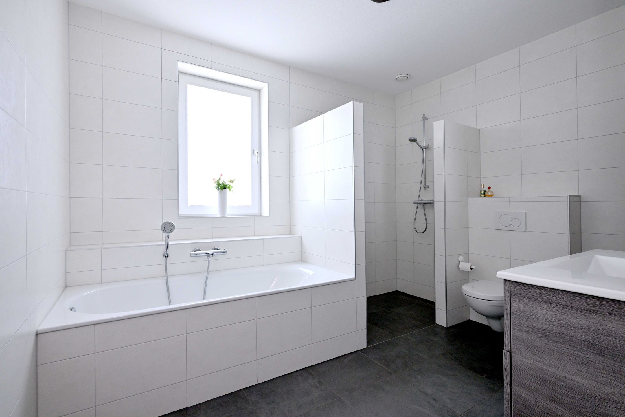 Photo 9 of Roodborst 60