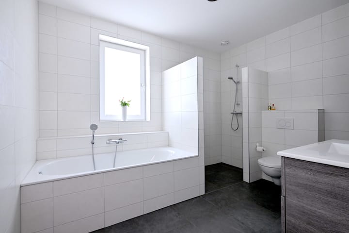 Foto 9 van Roodborst 60