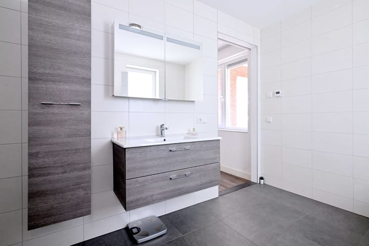 Foto 10 van Roodborst 60