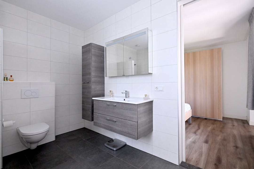 Photo 11 of Roodborst 60