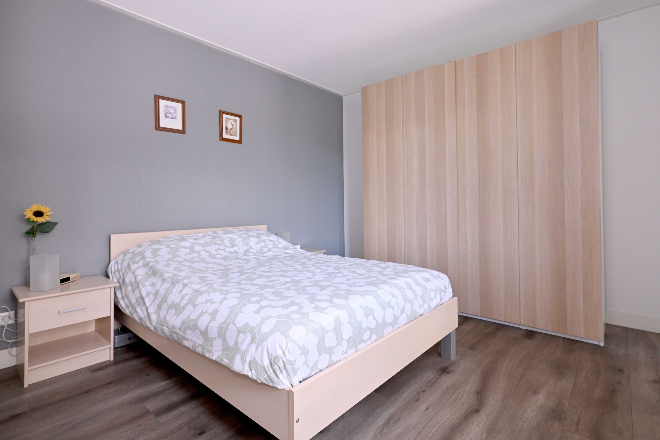 Photo 12 of Roodborst 60