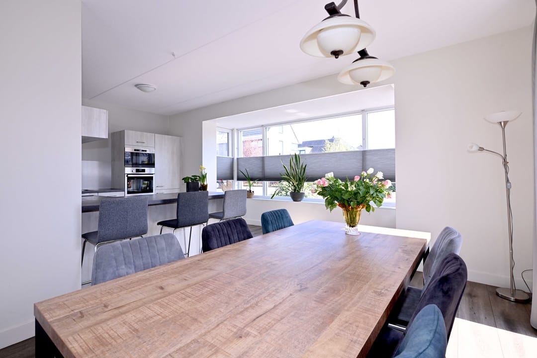 Photo 17 of Roodborst 60