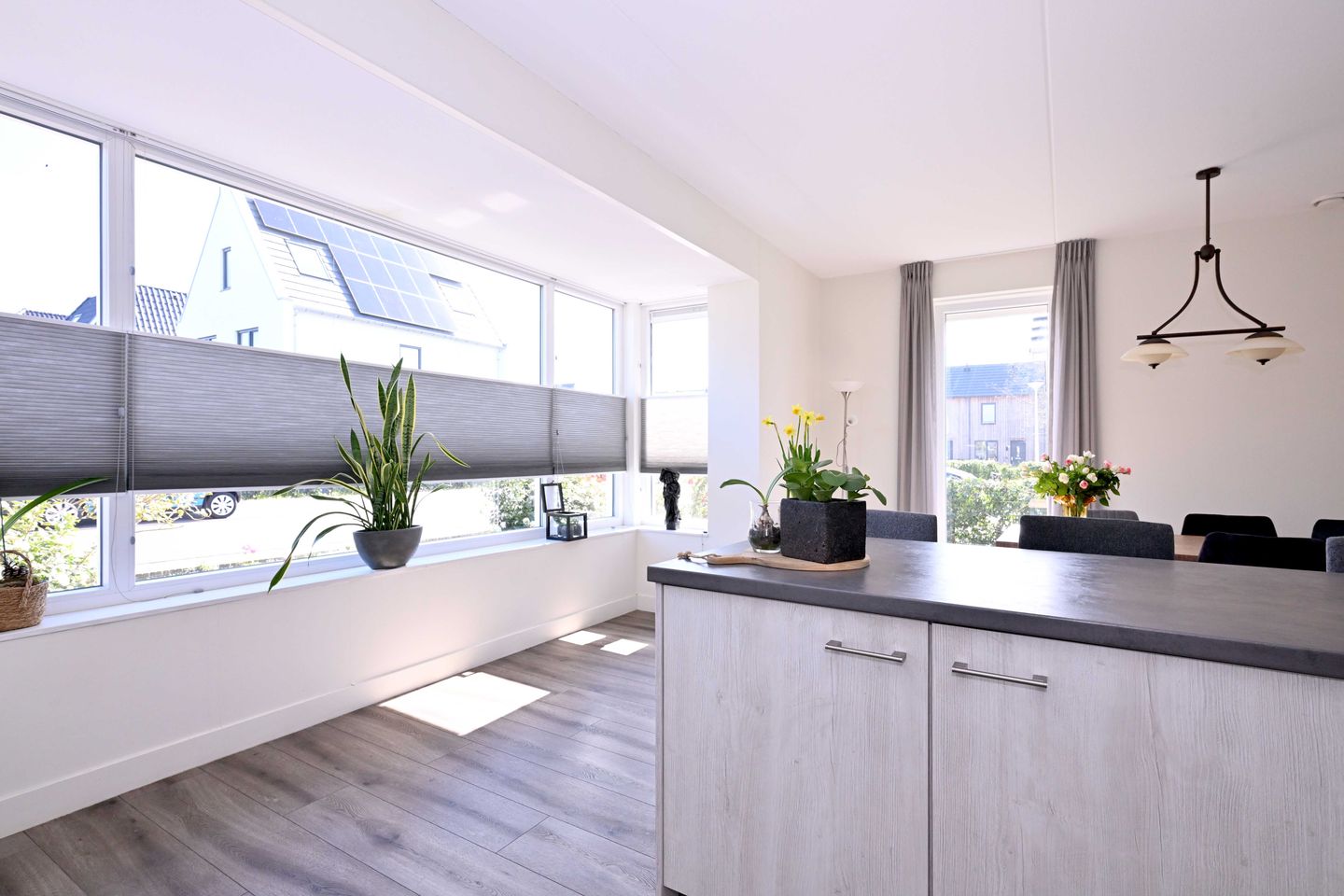 Photo 19 of Roodborst 60