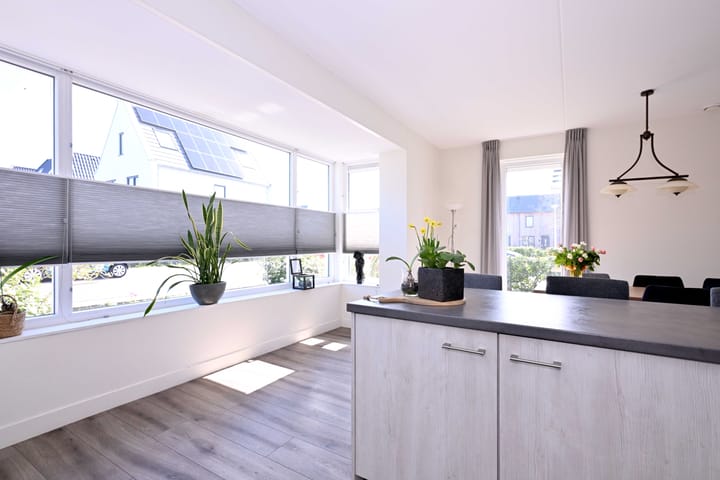 Foto 19 van Roodborst 60