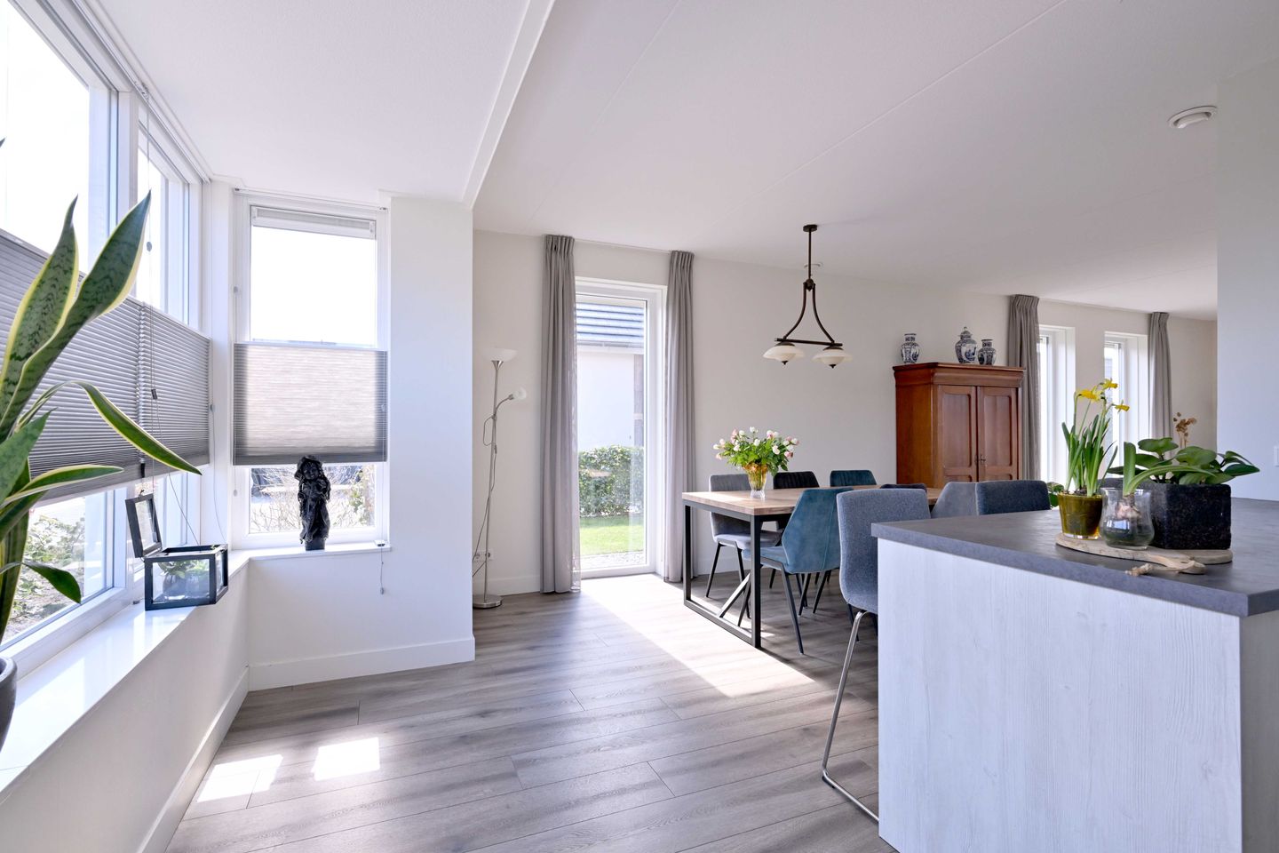 Photo 20 of Roodborst 60