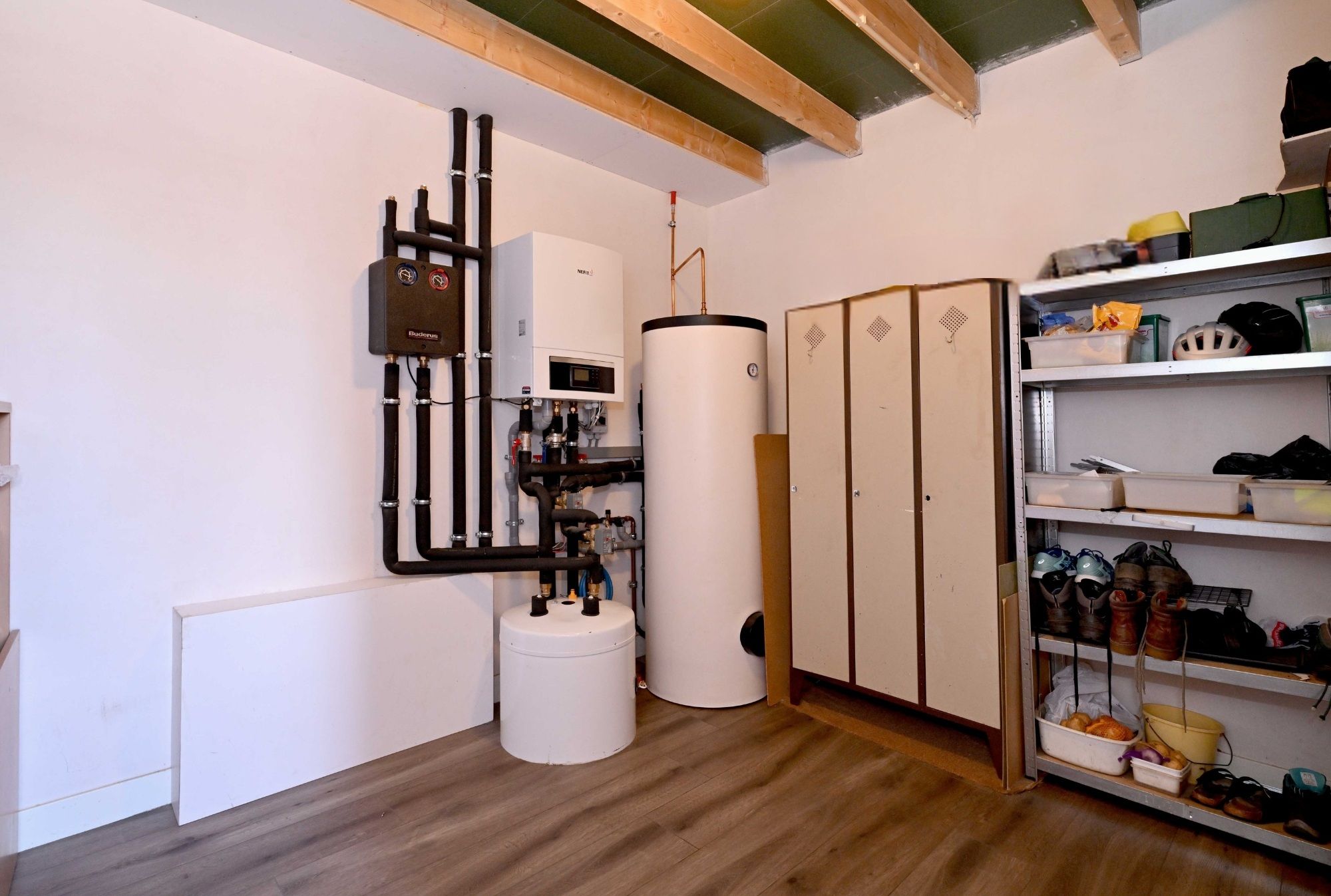 Photo 24 of Roodborst 60