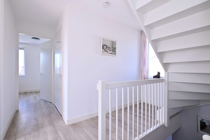 Foto 26 van Roodborst 60