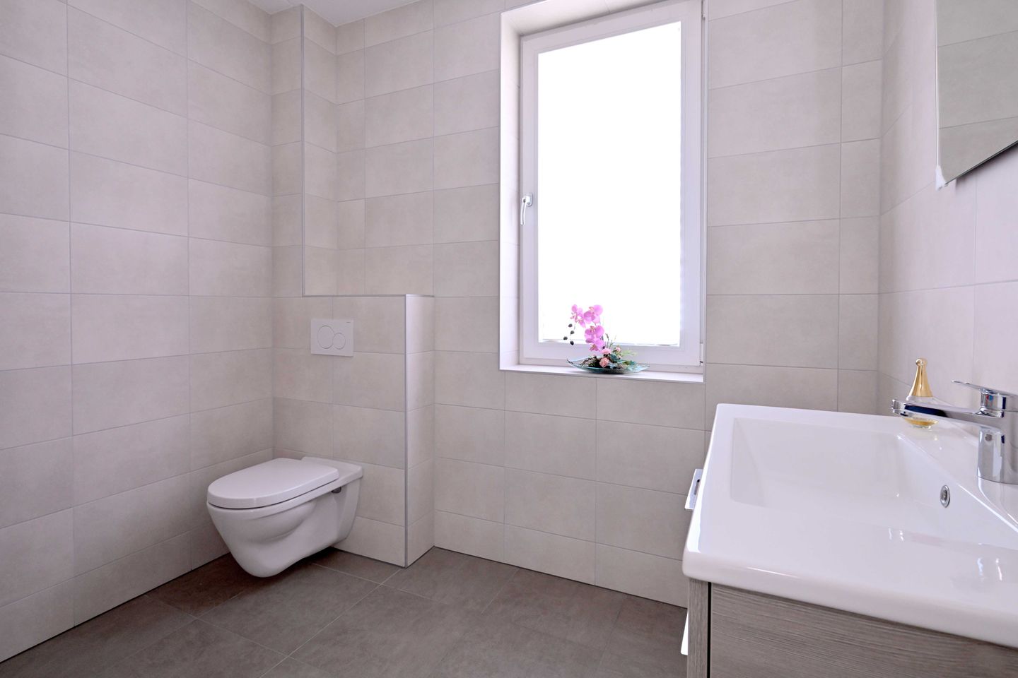 Photo 35 of Roodborst 60