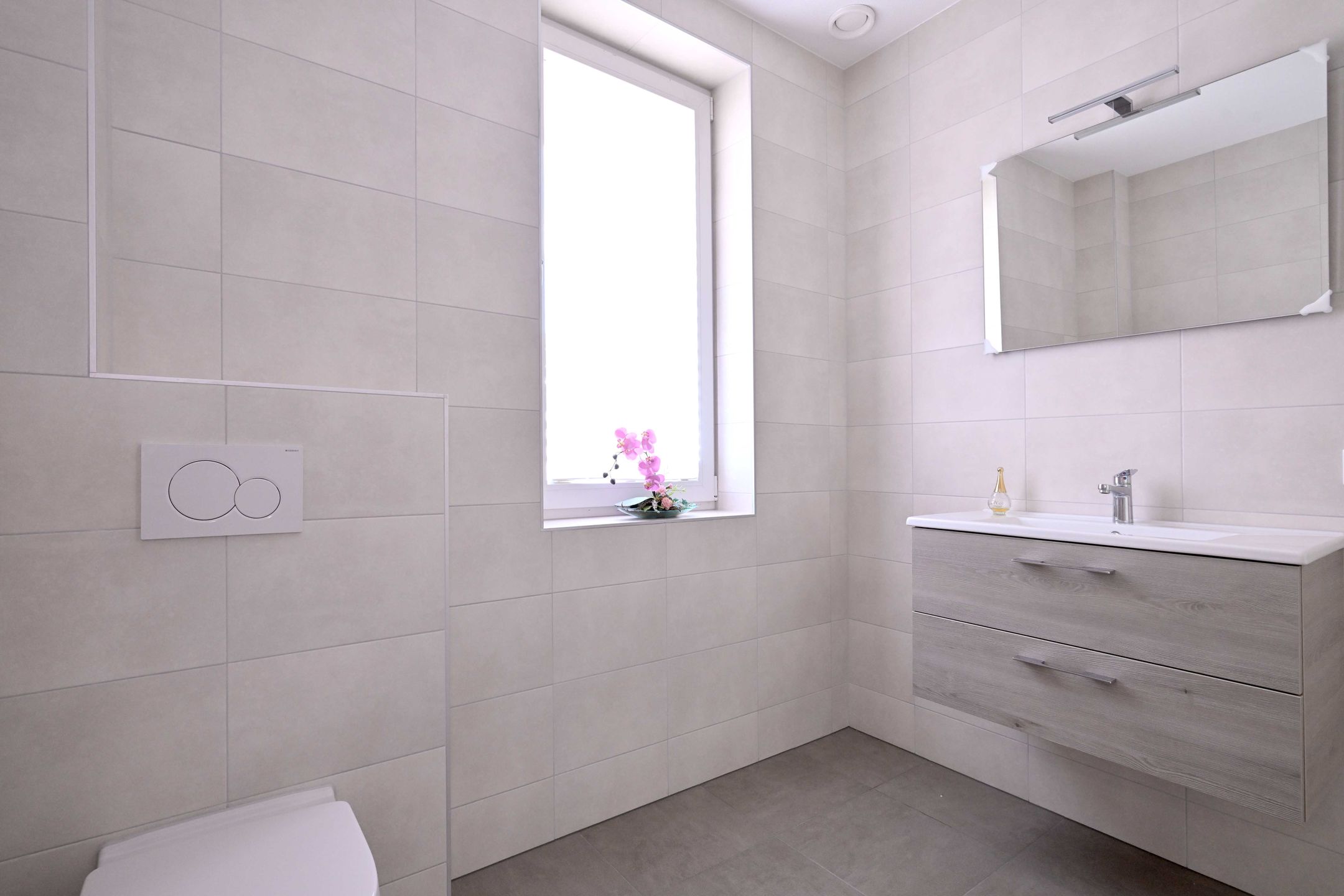 Photo 36 of Roodborst 60