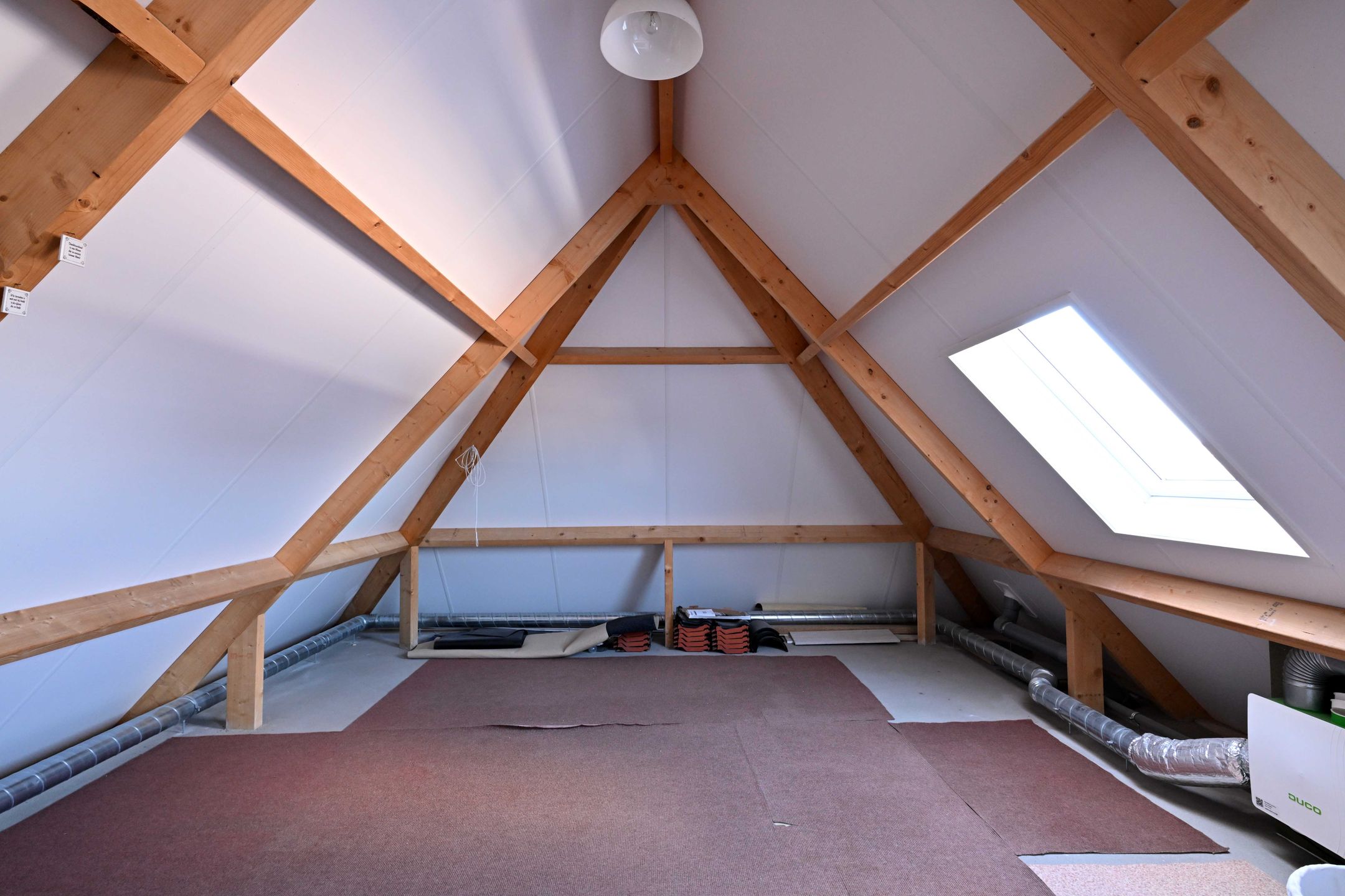 Photo 39 of Roodborst 60