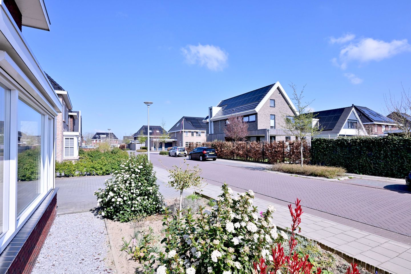 Photo 50 of Roodborst 60