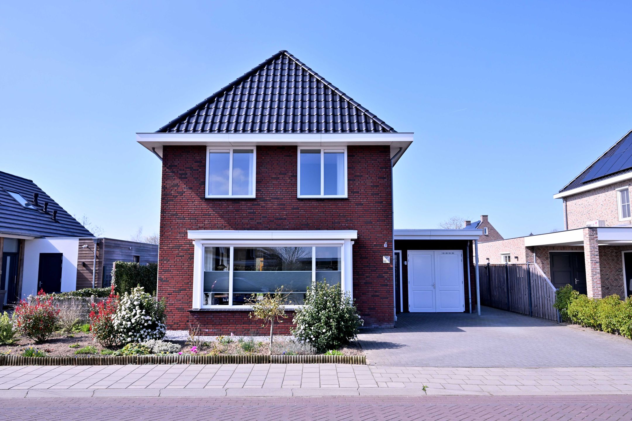 Photo 51 of Roodborst 60