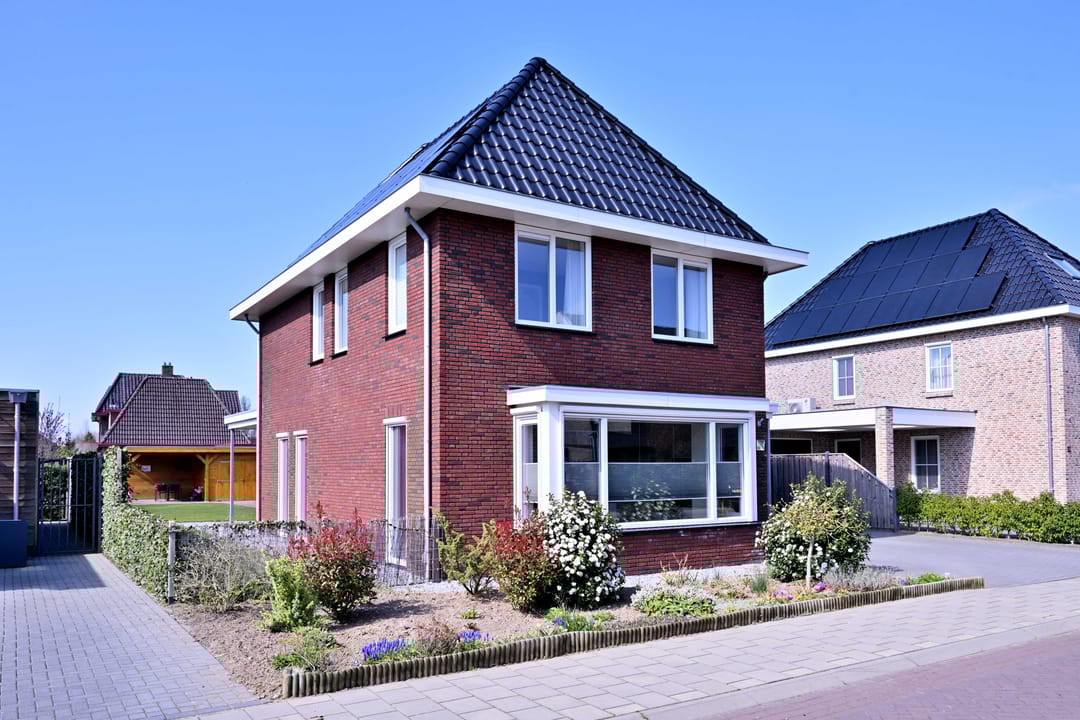 Photo 52 of Roodborst 60