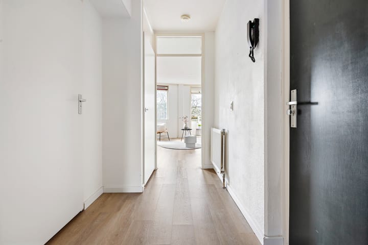 Foto 4 van Turfsingel 52-E