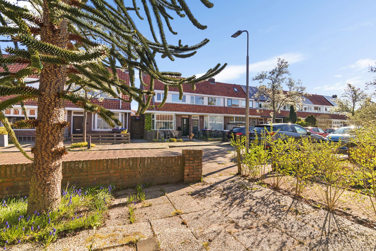 Foto 5 van Dahliastraat 45