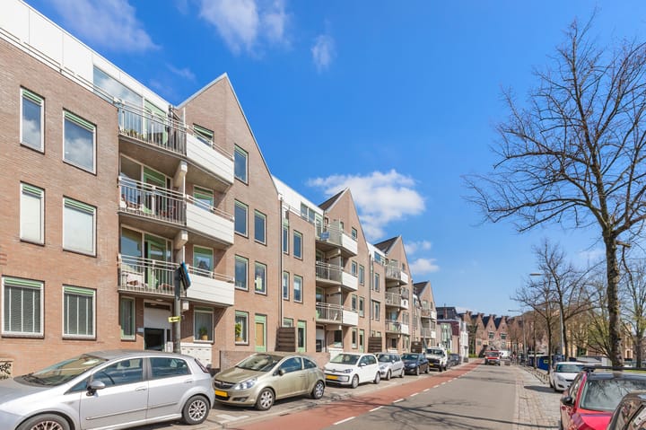 Foto 29 van Turfsingel 52-E