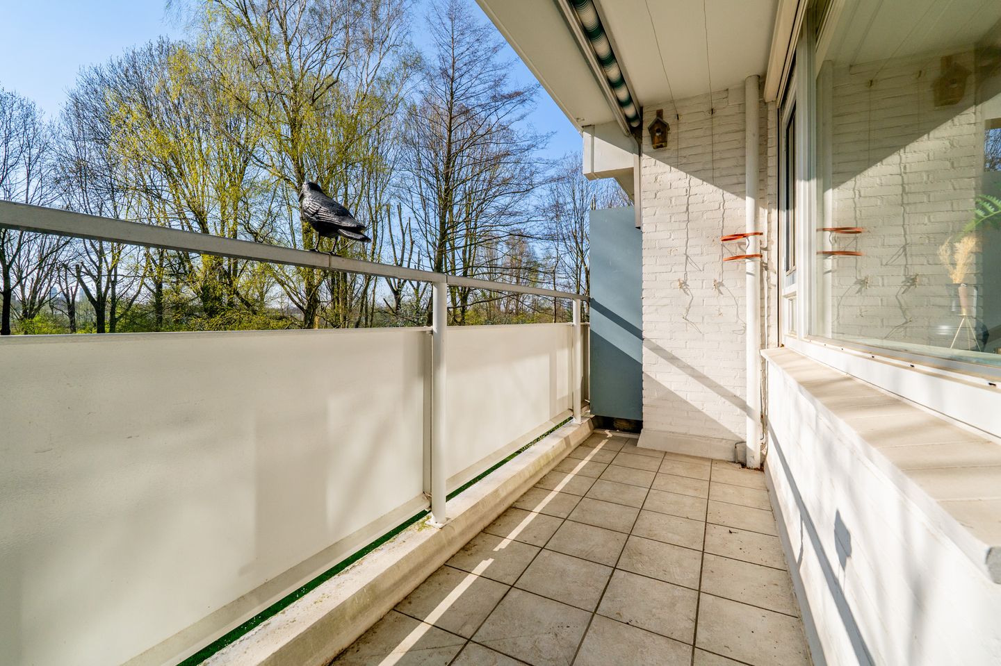 Foto 4 van Tobias Asserlaan 401