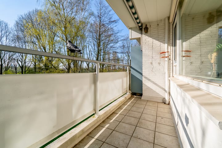 Foto 4 van Tobias Asserlaan 401