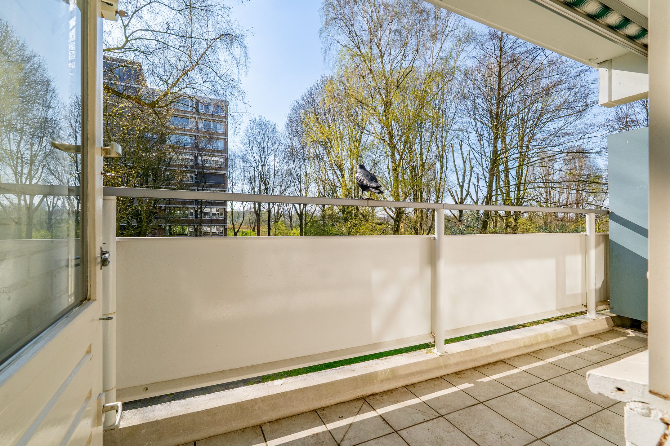 Foto 18 van Tobias Asserlaan 401