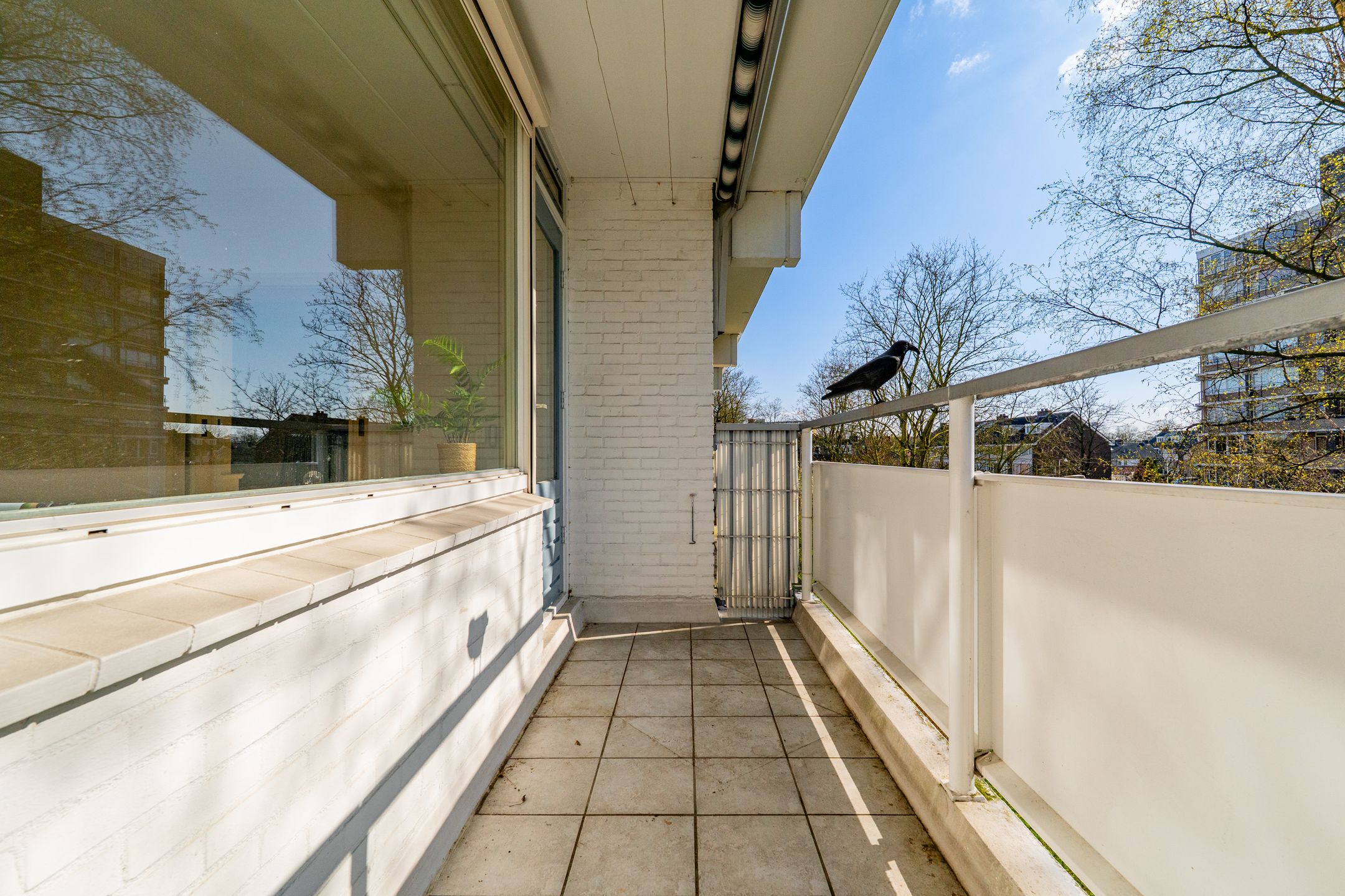 Foto 21 van Tobias Asserlaan 401