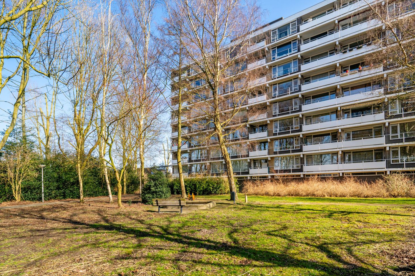 Foto 40 van Tobias Asserlaan 401