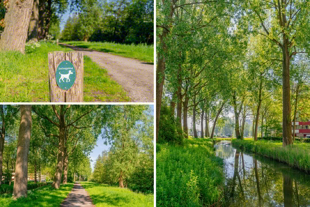 Foto 47 van Tobias Asserlaan 401